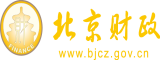 曰比比北京市财政局