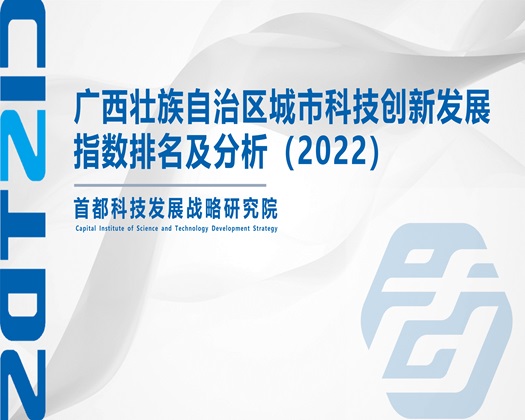 日本大肥屄【成果发布】广西壮族自治区城市科技创新发展指数排名及分析（2022）